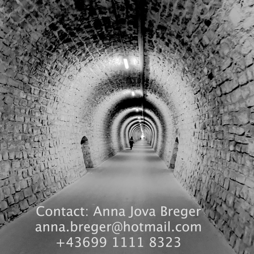 Contact
